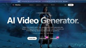 VideoAny preview
